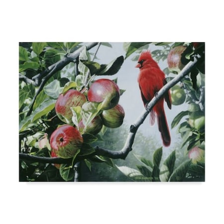 Ron Parker 'Cardinal And Apples' Canvas Art,24x32
